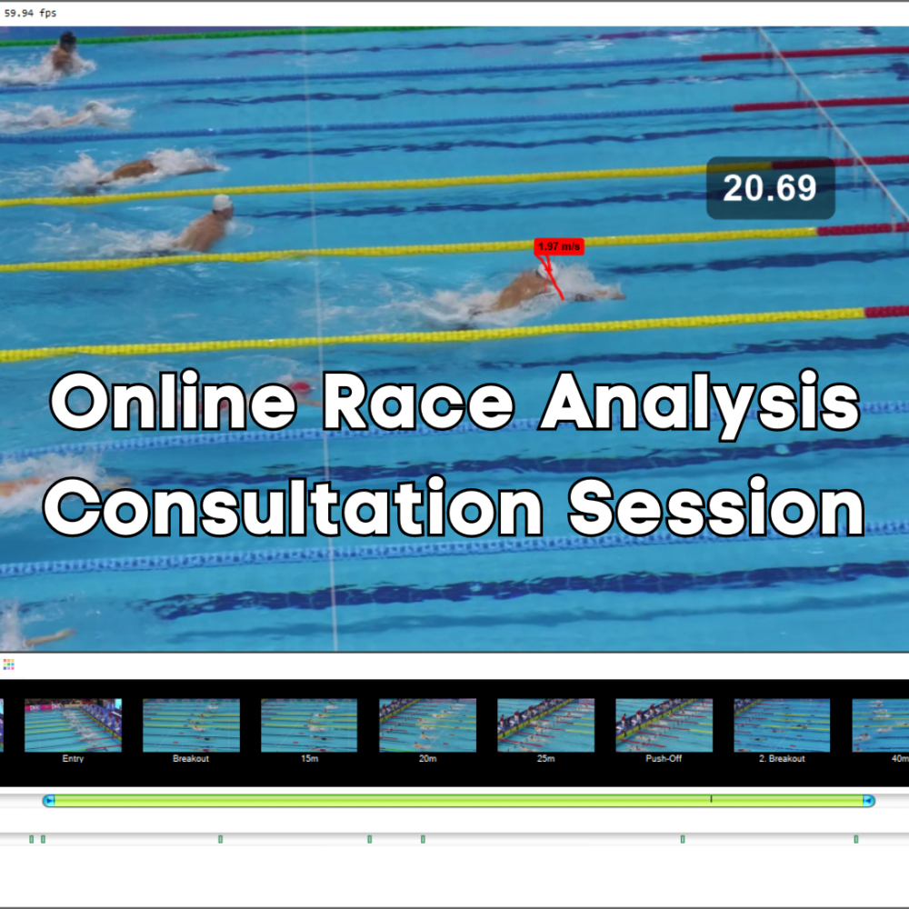 Online Race Analysis Consultation Session